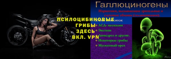 гидропоника Абаза