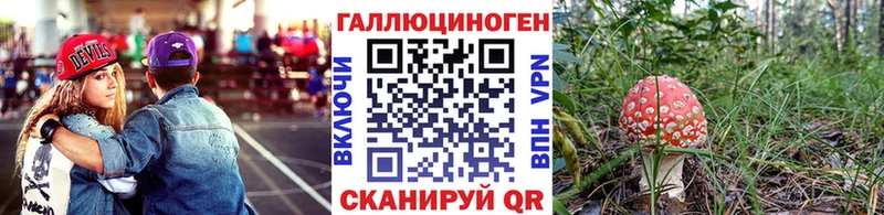 Галлюциногенные грибы прущие грибы  Сысерть 
